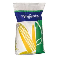 Семена гибридов кукурузы Syngenta СИ Талисман, СИ Феномен, СИ Чоринтос