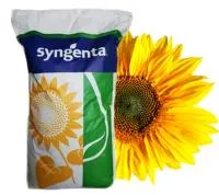 Семена подсолнечника Syngenta Неома НК, Сузука, Сумико, Суоми