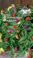 Семена перца острый декоративный Аладдин
